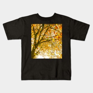 Autumn Leaves - Tree leaves changing colour Kids T-Shirt